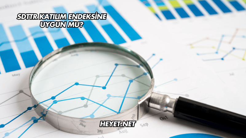 SDTTR Katılım Endeksine Uygun mu?