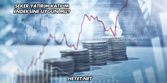 Şeker Yatırım Katılım Endeksine Uygun mu?