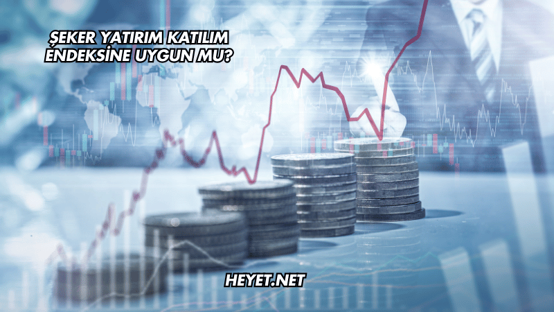 Şeker Yatırım Katılım Endeksine Uygun mu?