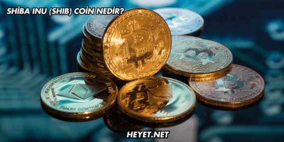 Shiba Inu (SHIB) Coin Nedir?