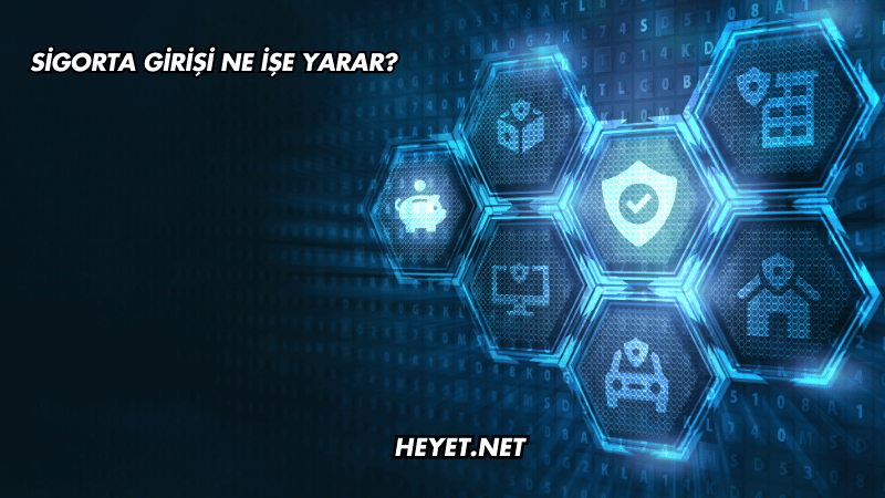 Sigorta Girişi Ne İşe Yarar?