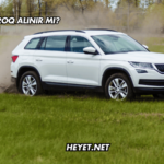 Skoda Karoq Alınır mı?