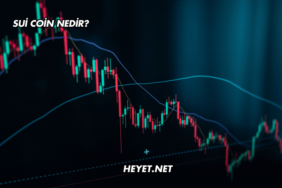Sui Coin Nedir?