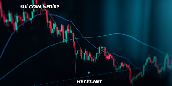 Sui Coin Nedir?