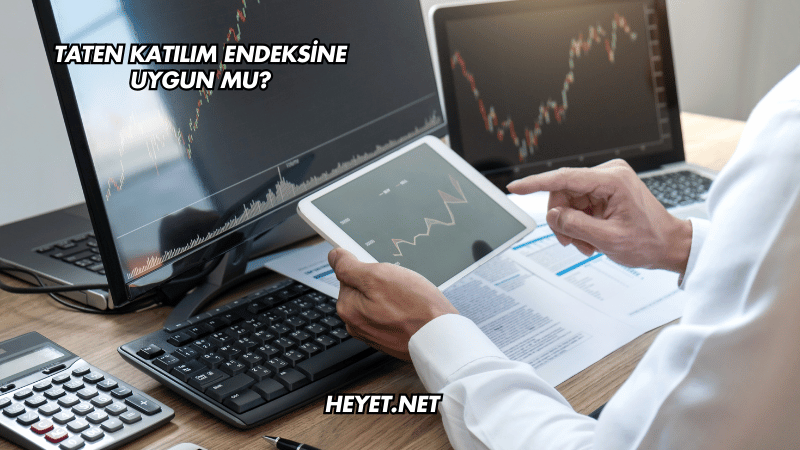 Taten Katılım Endeksine Uygun mu?