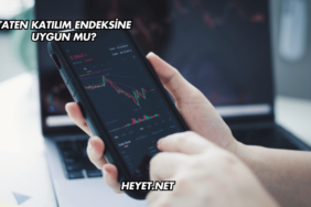 Taten Katılım Endeksine Uygun mu?