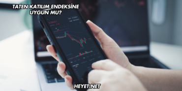 Taten Katılım Endeksine Uygun mu?