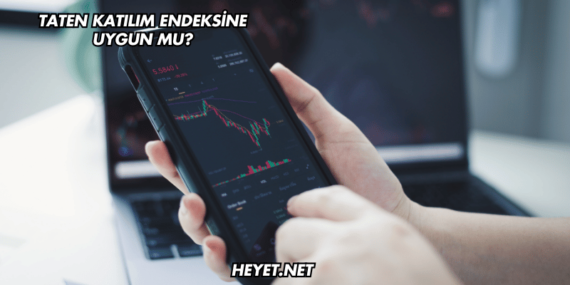Taten Katılım Endeksine Uygun mu?