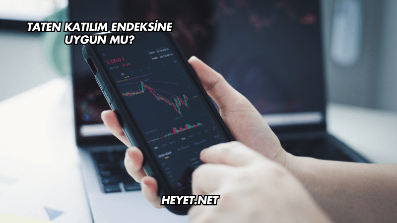 Taten Katılım Endeksine Uygun mu?