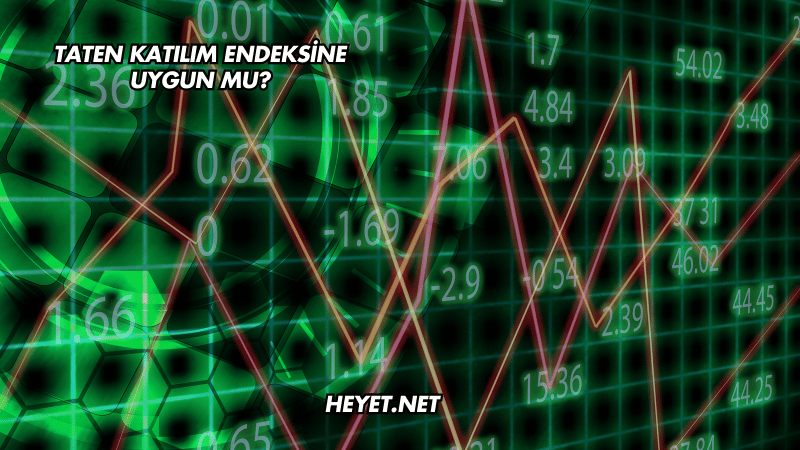 Taten Katılım Endeksine Uygun mu?