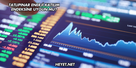 Tatlıpınar Enerji Katılım Endeksine Uygun mu?