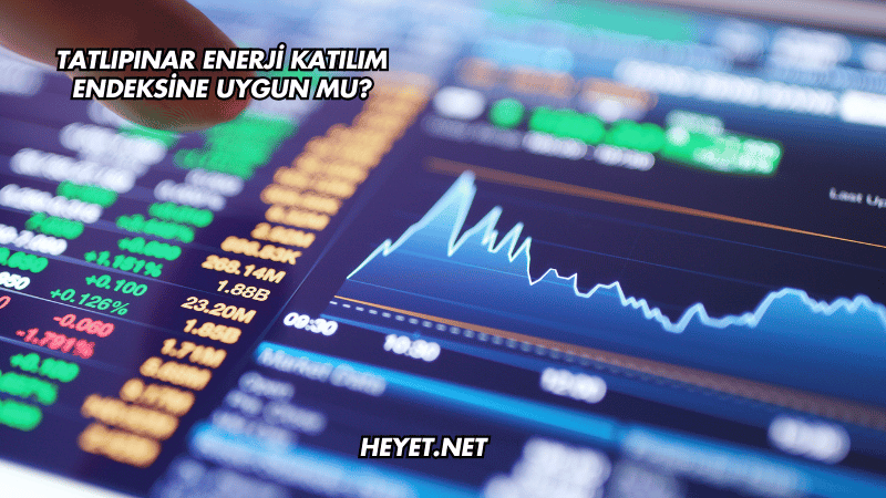 Tatlıpınar Enerji Katılım Endeksine Uygun mu?