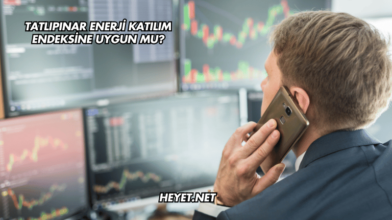 Tatlıpınar Enerji Katılım Endeksine Uygun mu?