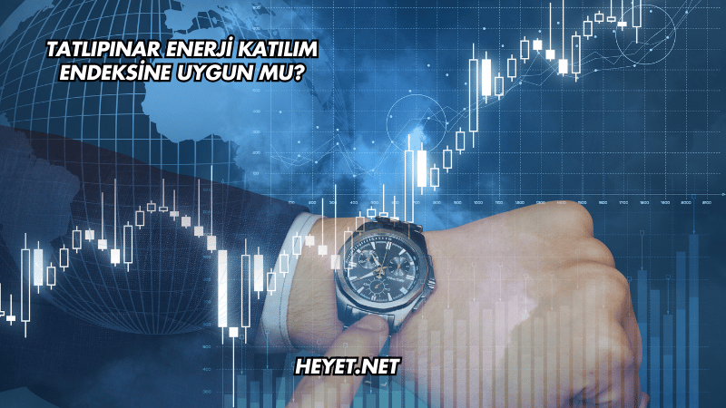 Tatlıpınar Enerji Katılım Endeksine Uygun mu?