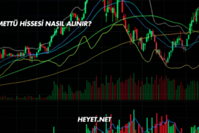 Temettü Hissesi Nasıl Alınır?