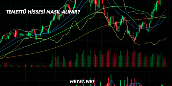 Temettü Hissesi Nasıl Alınır?