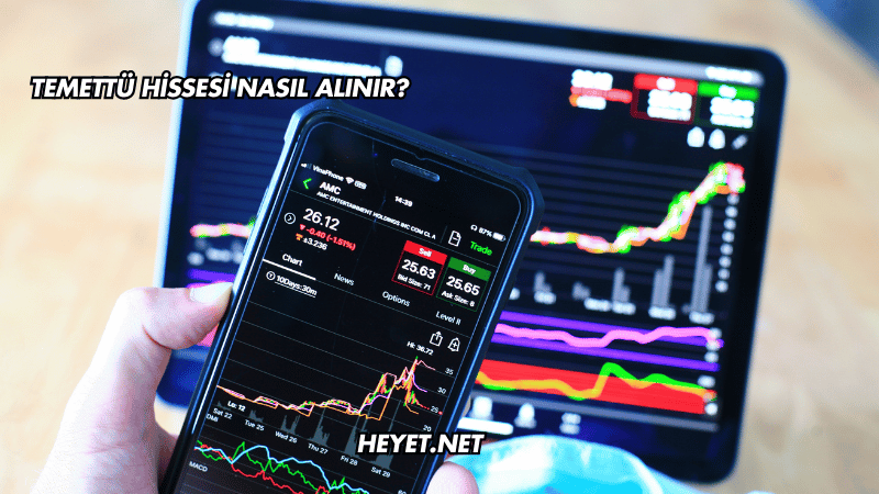 Temettü Hissesi Nasıl Alınır?
