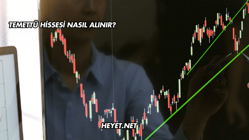 Temettü Hissesi Nasıl Alınır?