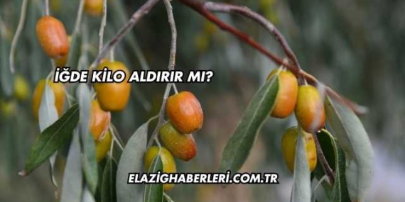 İğde Kilo Aldırır mı?