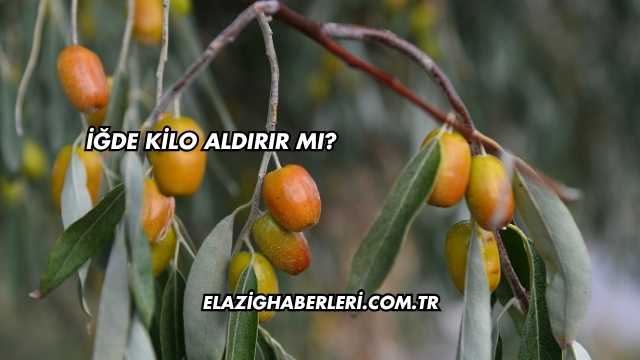 İğde Kilo Aldırır mı?