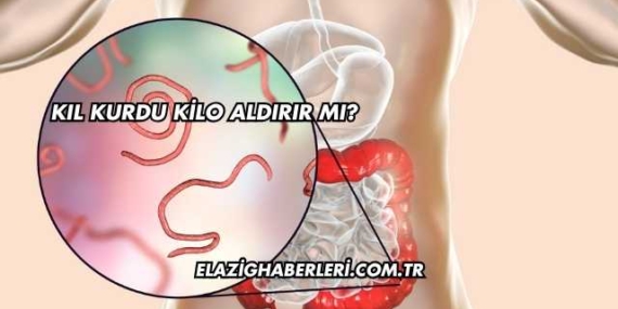 Kıl Kurdu Kilo Aldırır mı?