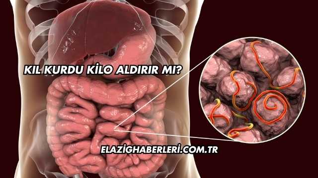 Kıl Kurdu Kilo Aldırır mı?