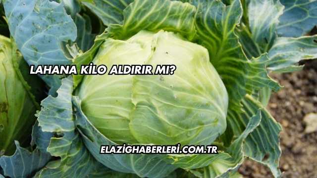 Lahana Kilo Aldırır mı?