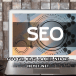 Google Bilgi Paneli Nedir?