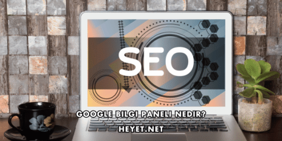 Google Bilgi Paneli Nedir?