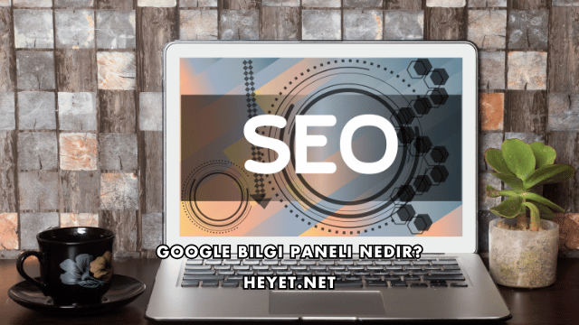 Google Bilgi Paneli Nedir?